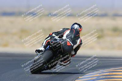 media/May-13-2023-SoCal Trackdays (Sat) [[8a473a8fd1]]/Turn 11 Backside (945am)/